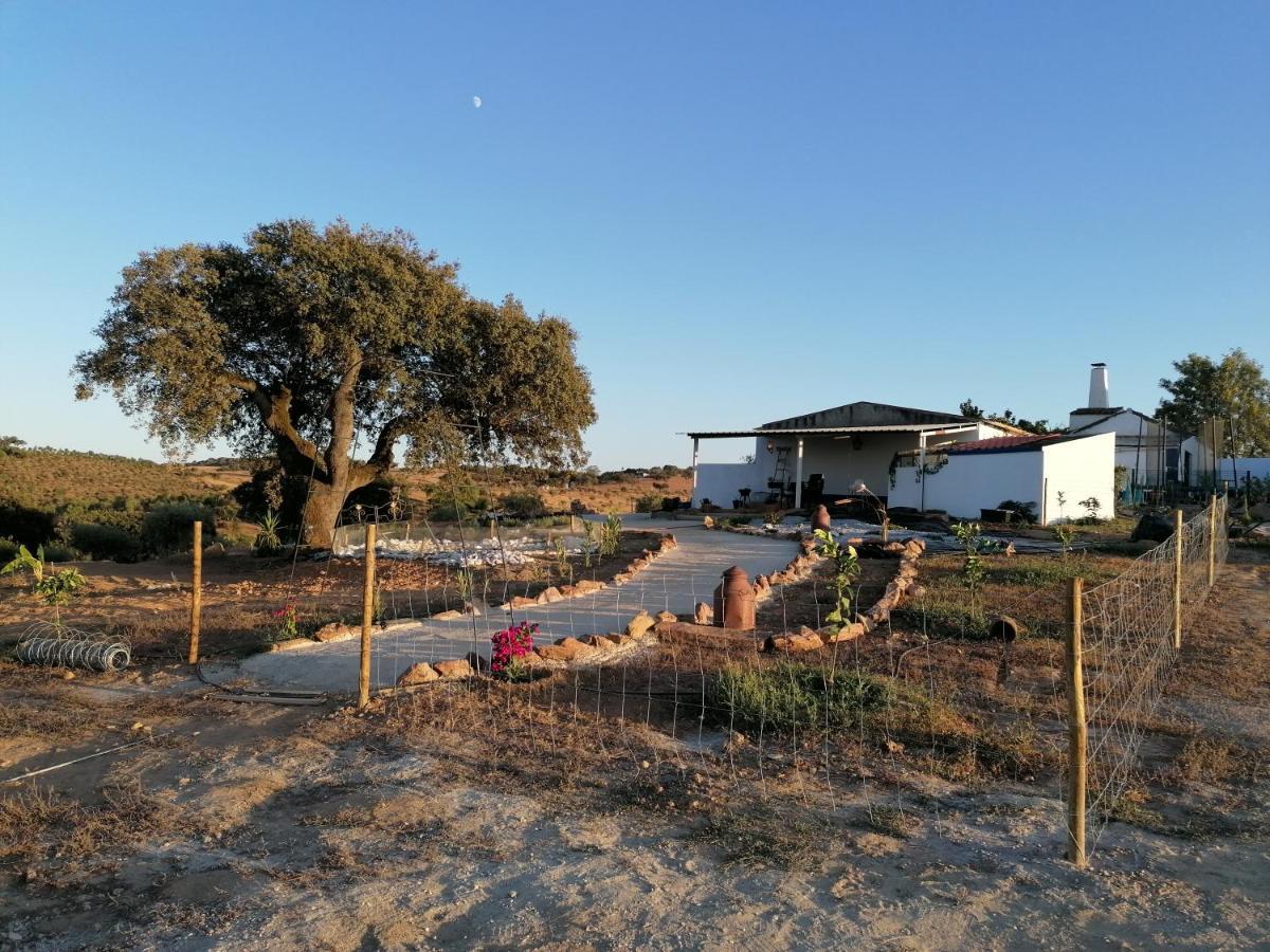 Monte Beatriz Villa Reguengos de Monsaraz Eksteriør billede